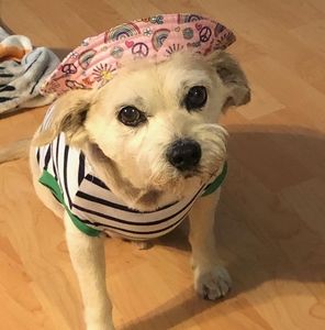 Meet your Posher, Carole